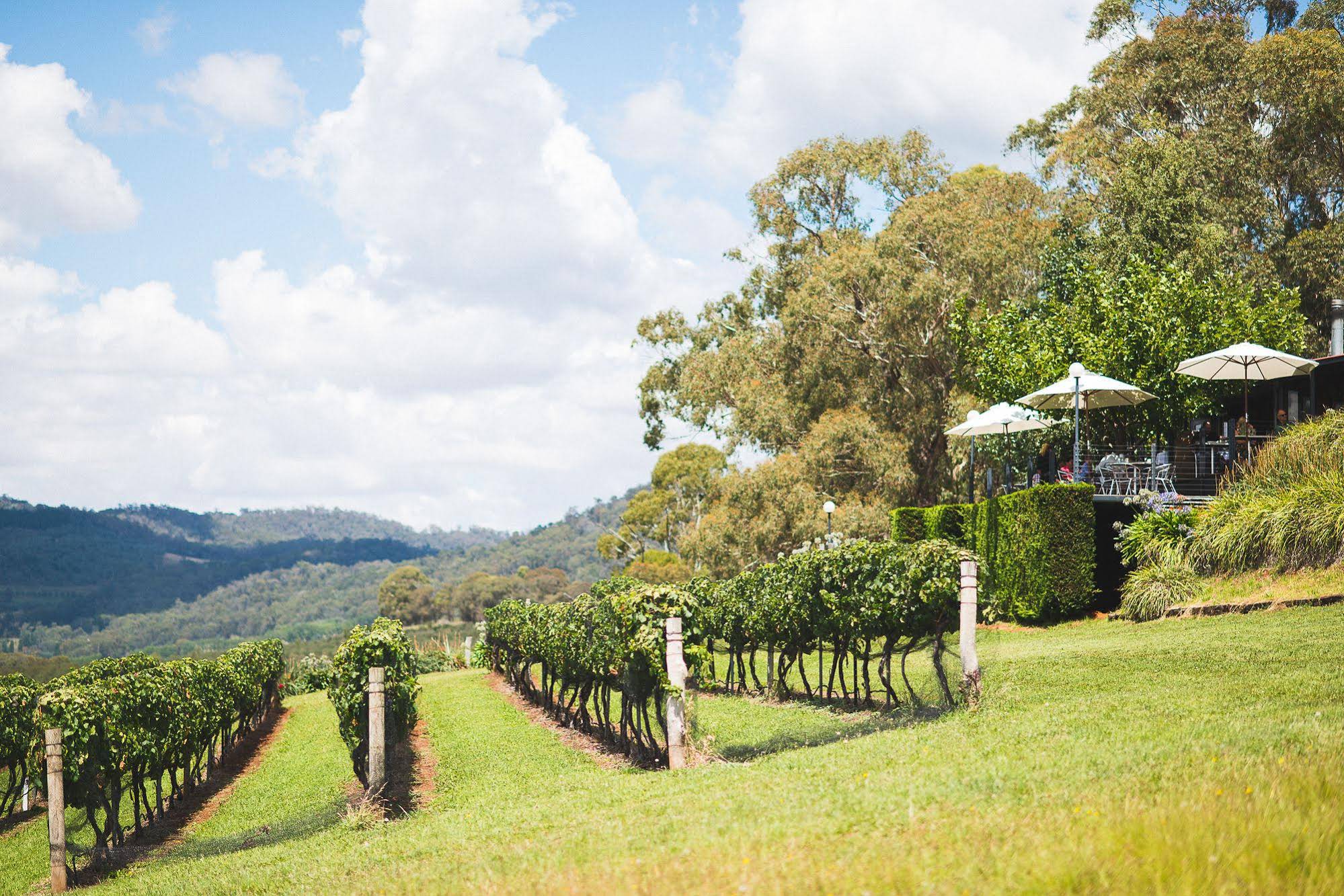 Borrodell Vineyard