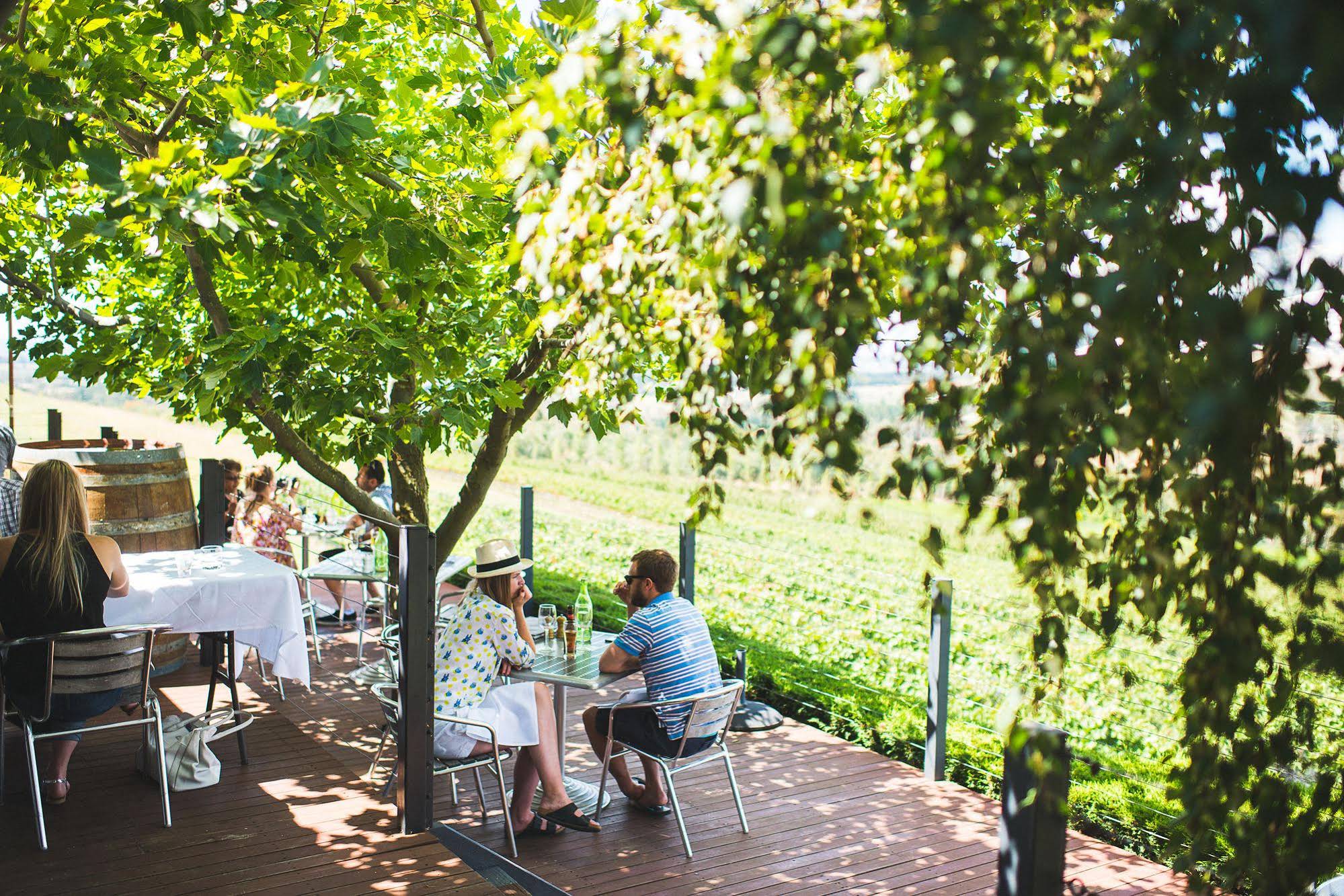 Borrodell Vineyard