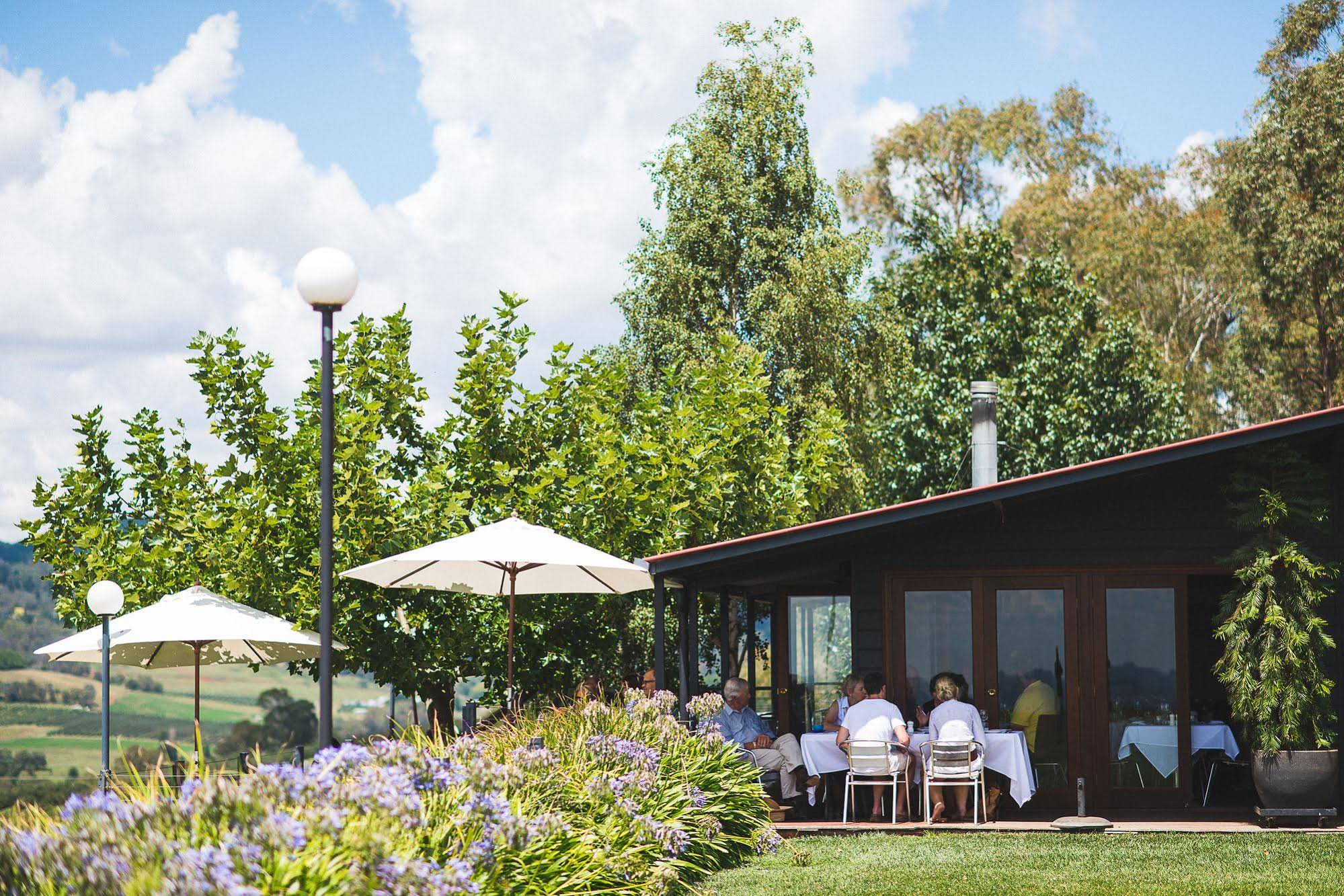 Borrodell Vineyard