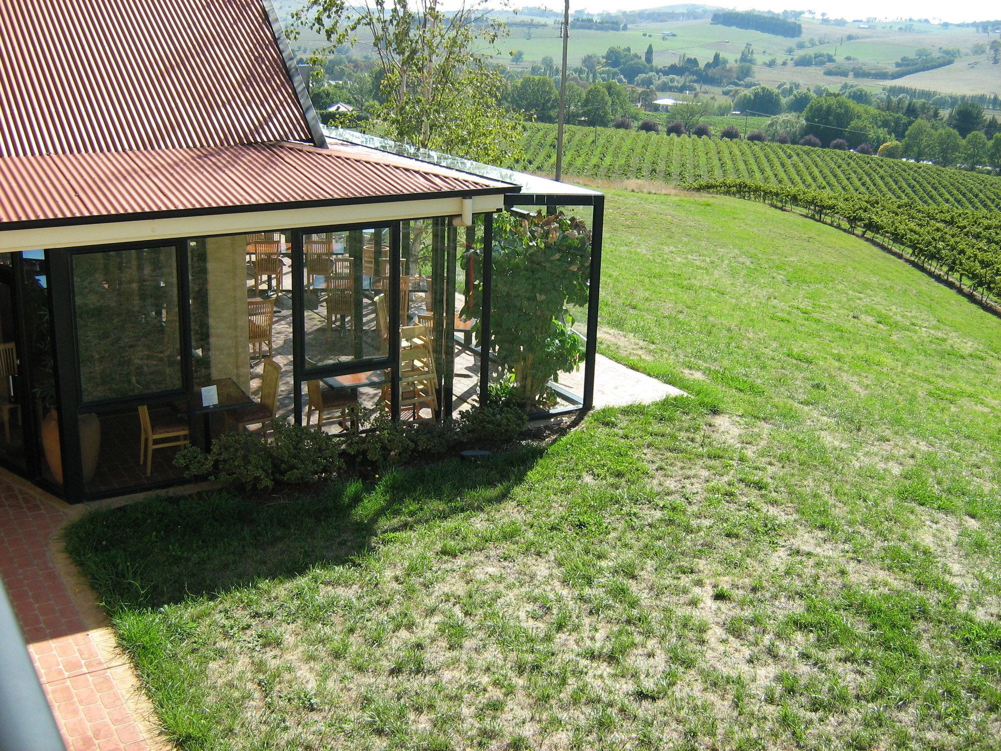 Turners Vineyard
