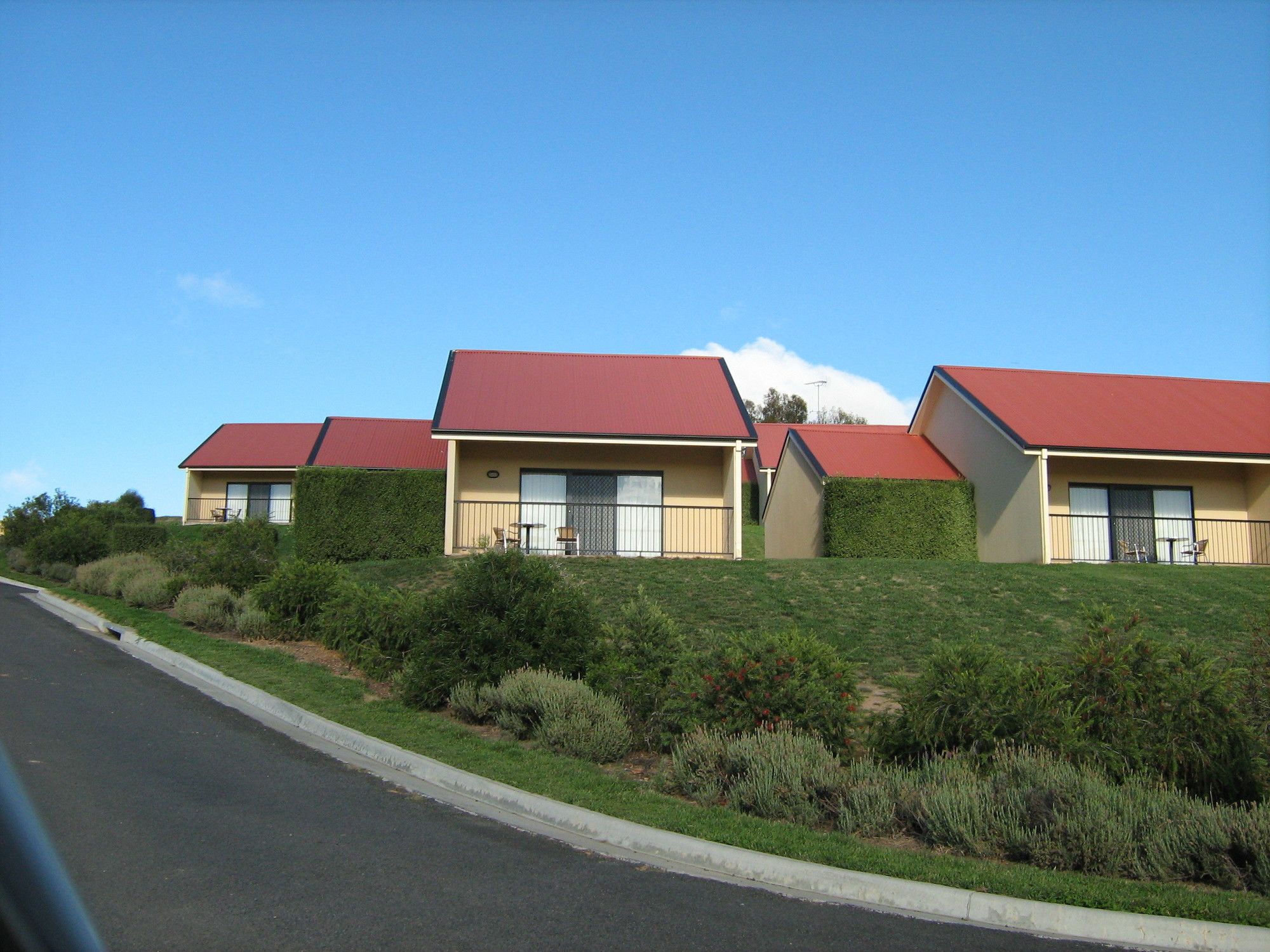 Turners Vineyard