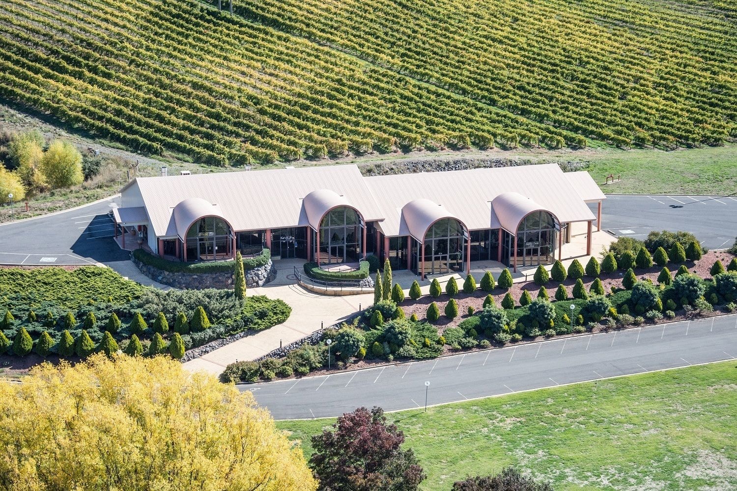Turners Vineyard