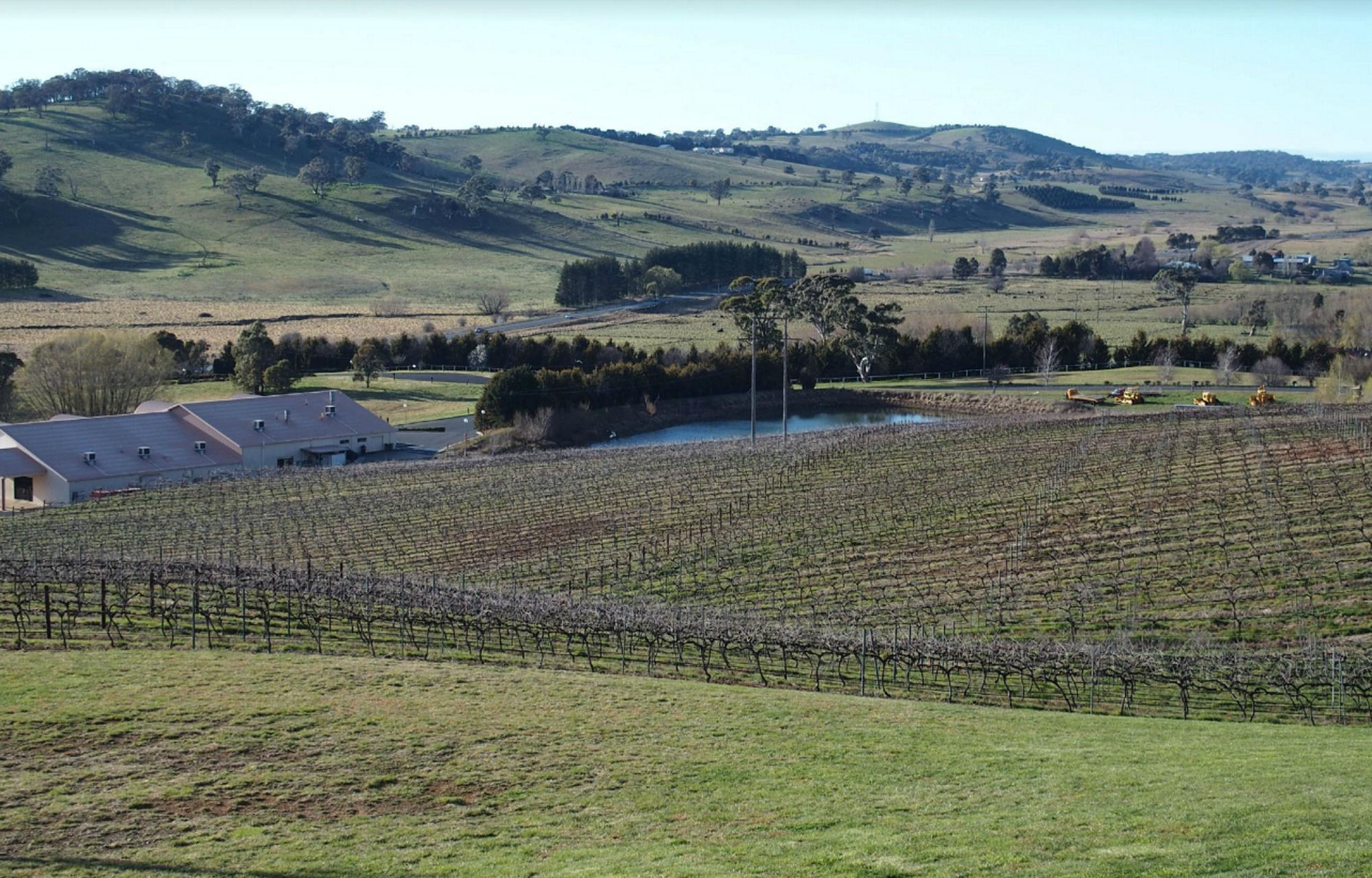 Turners Vineyard