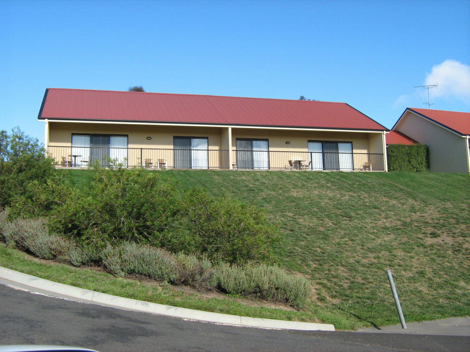 Turners Vineyard