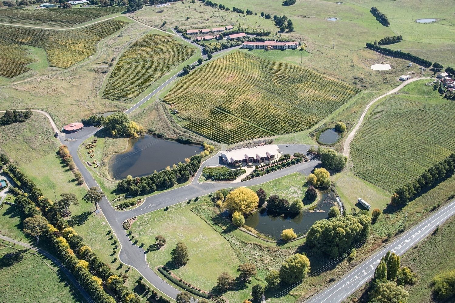 Turners Vineyard