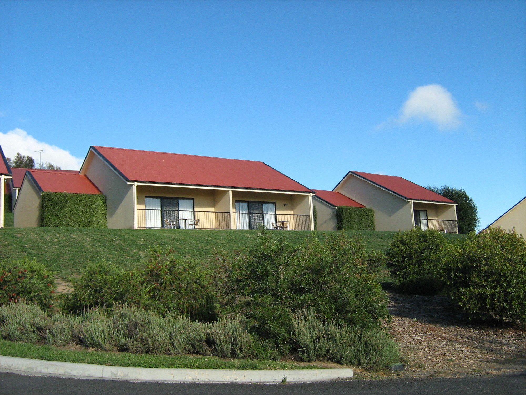 Turners Vineyard