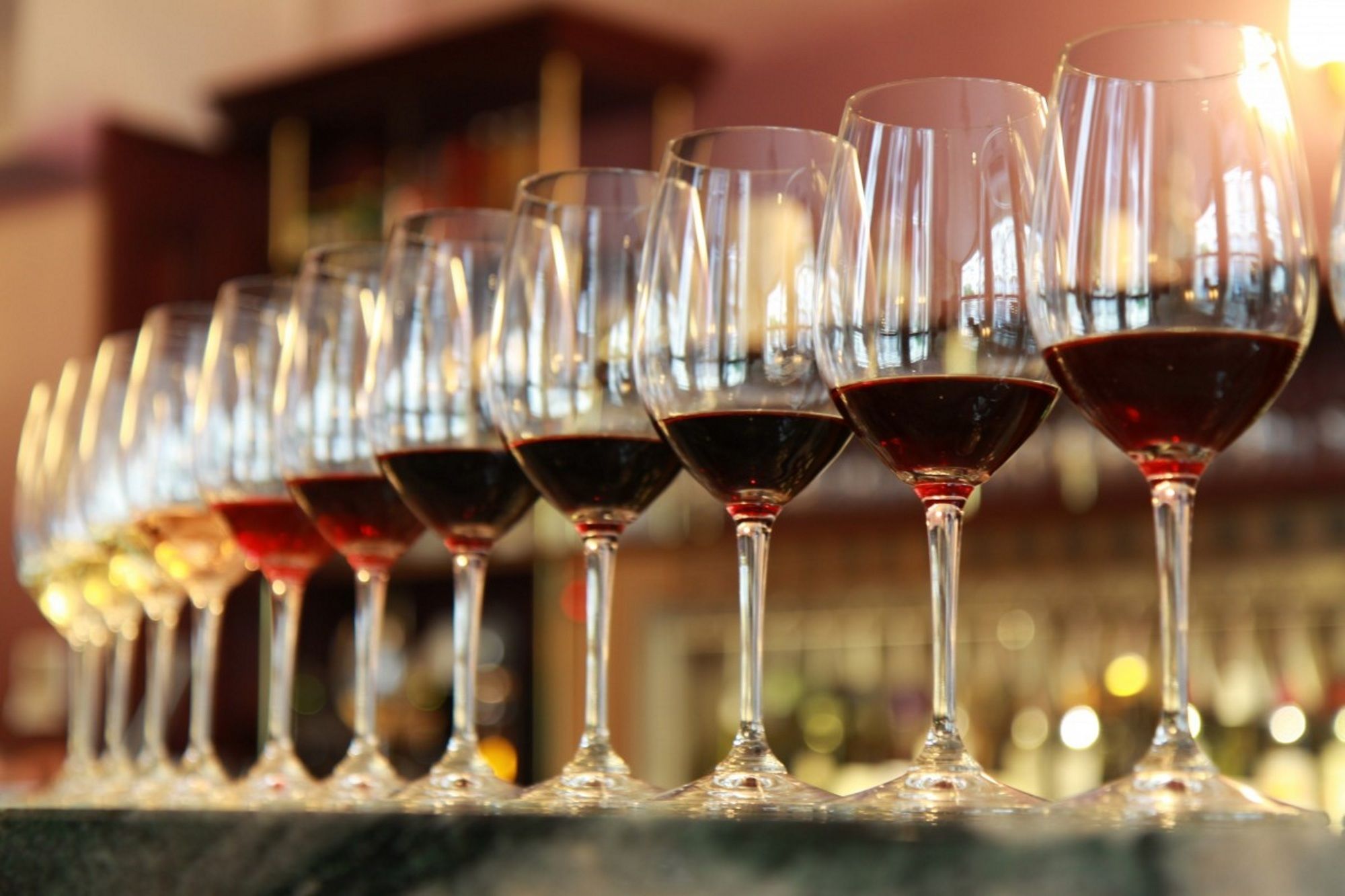 Turners Vineyard