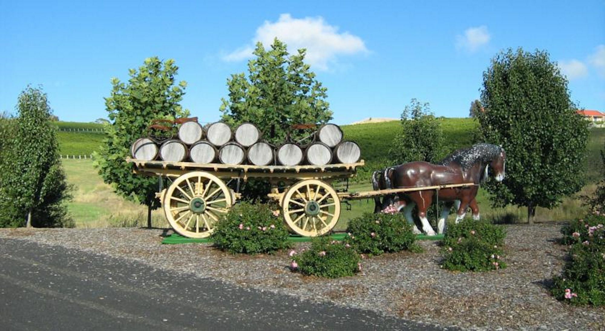 Turners Vineyard