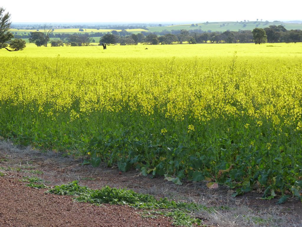 Kadina Bed Breakfast