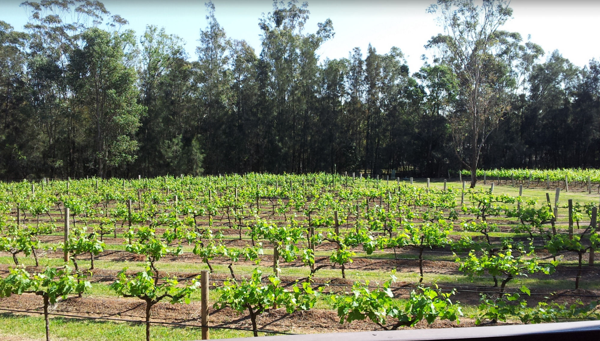 Hermitage Lodge Hunter Valley