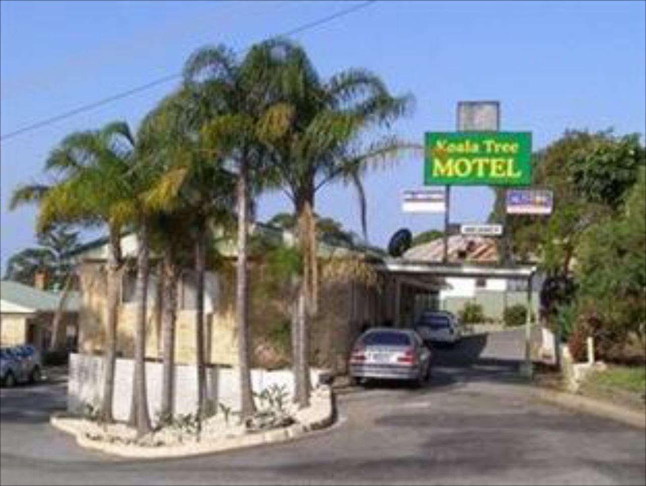 Koala Tree Motel