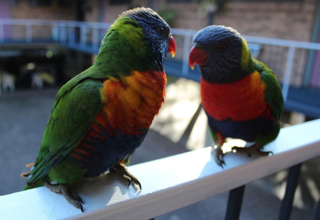 Port Stephens Motor Lodge