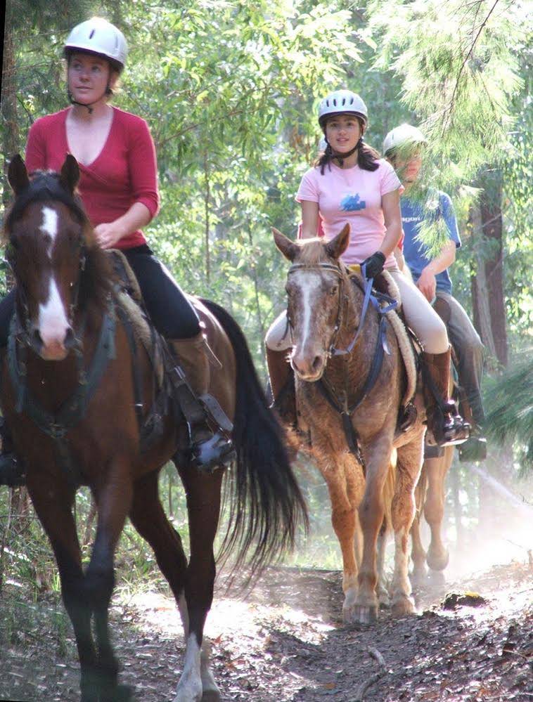 Clarendon Forest Retreat