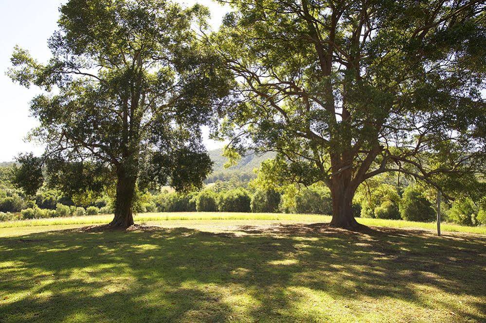 Clarendon Forest Retreat