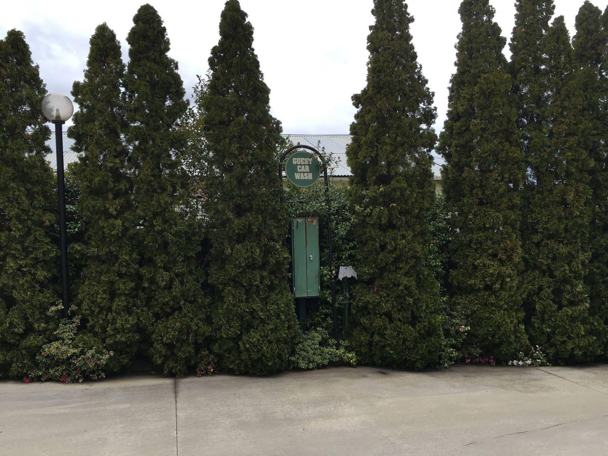 Crest Motor Inn