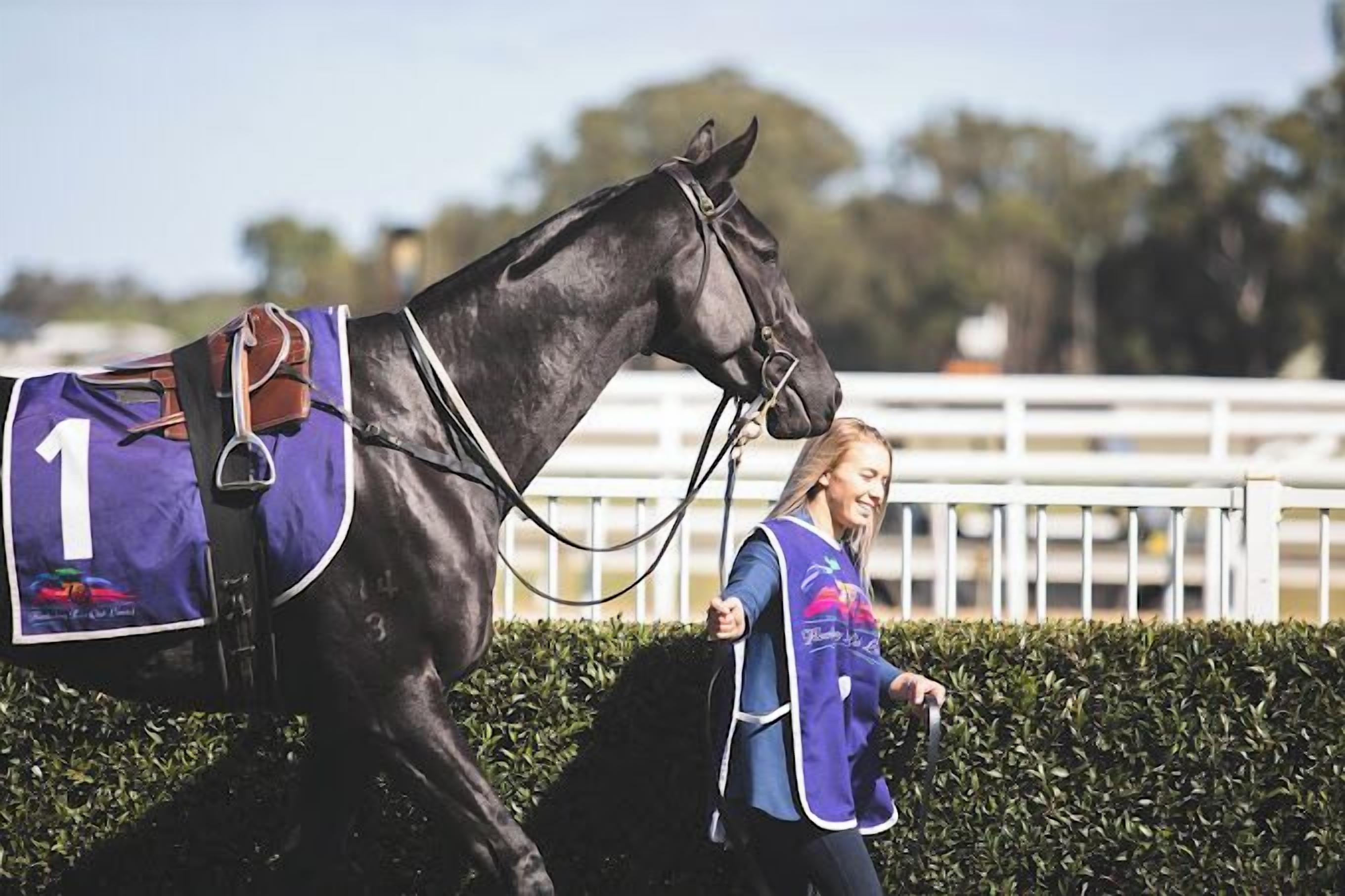 SureStay Hotel by Best Western, New Inn Richmond