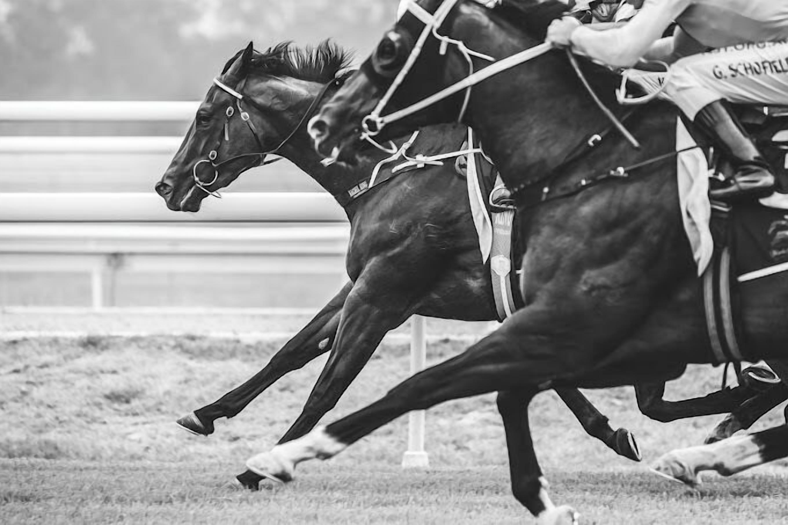 SureStay Hotel by Best Western, New Inn Richmond