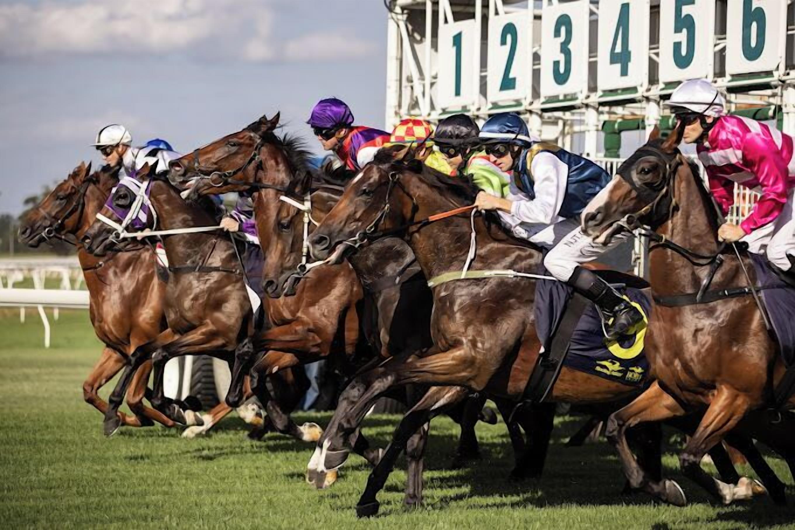 SureStay Hotel by Best Western, New Inn Richmond