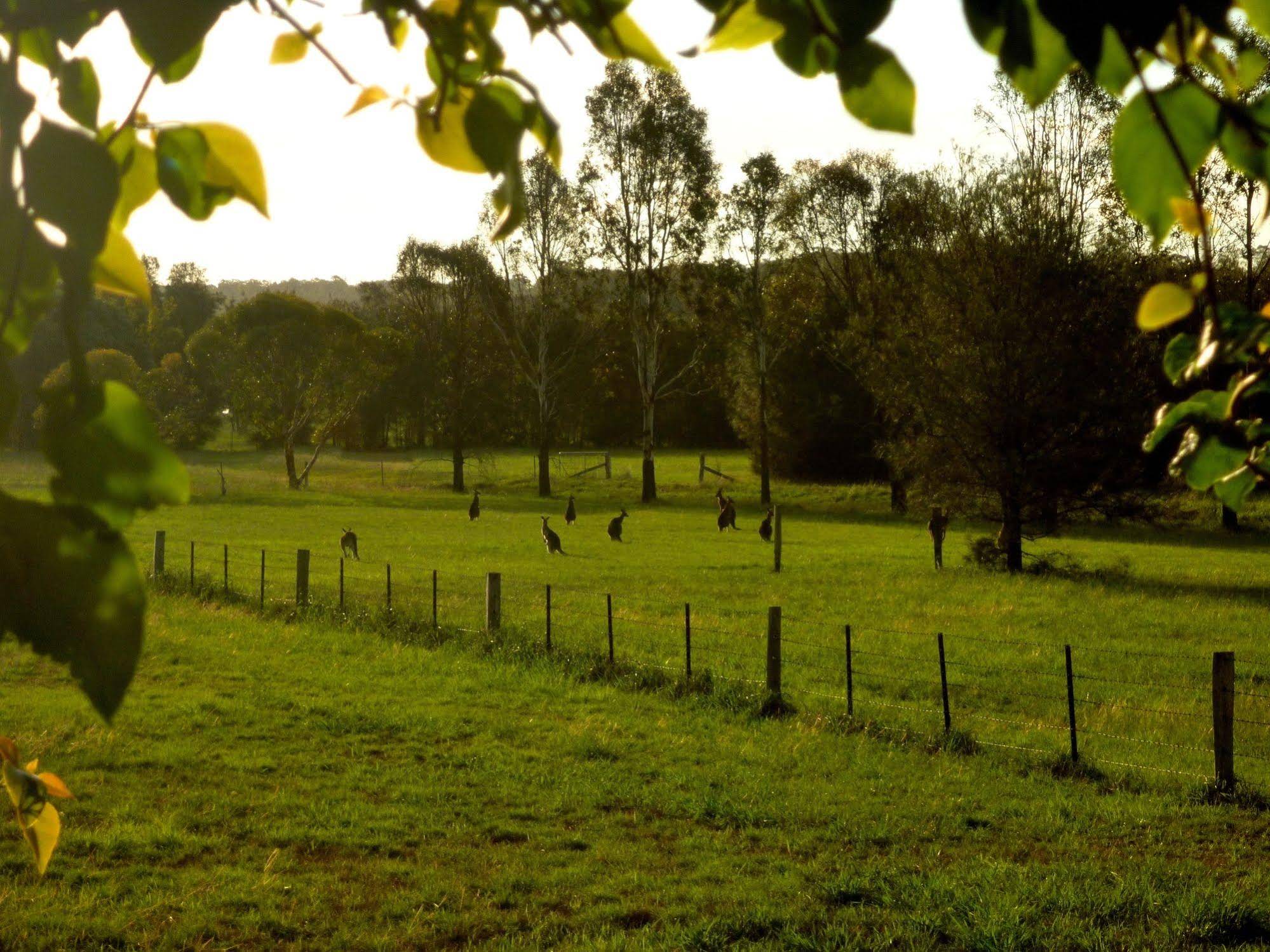 Silverpoint Accommodation