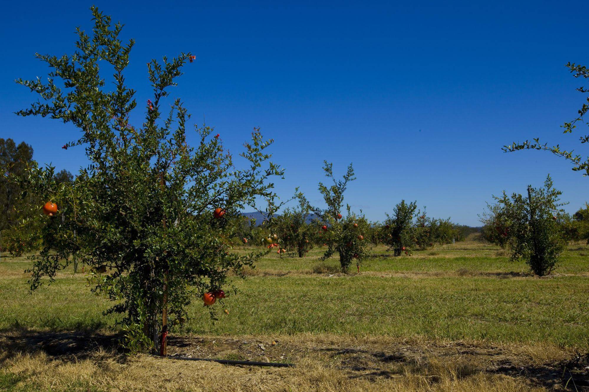 Talga Estate