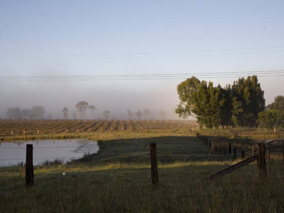 Talga Vines Vineyard Escape
