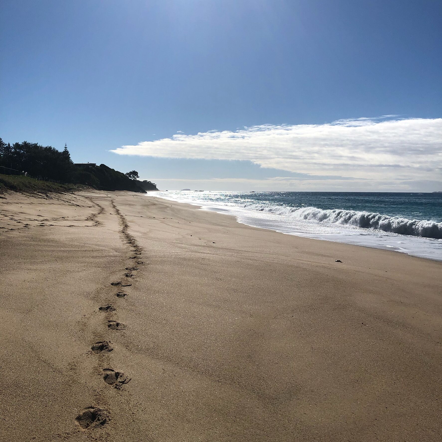 Shorebreak Beach House
