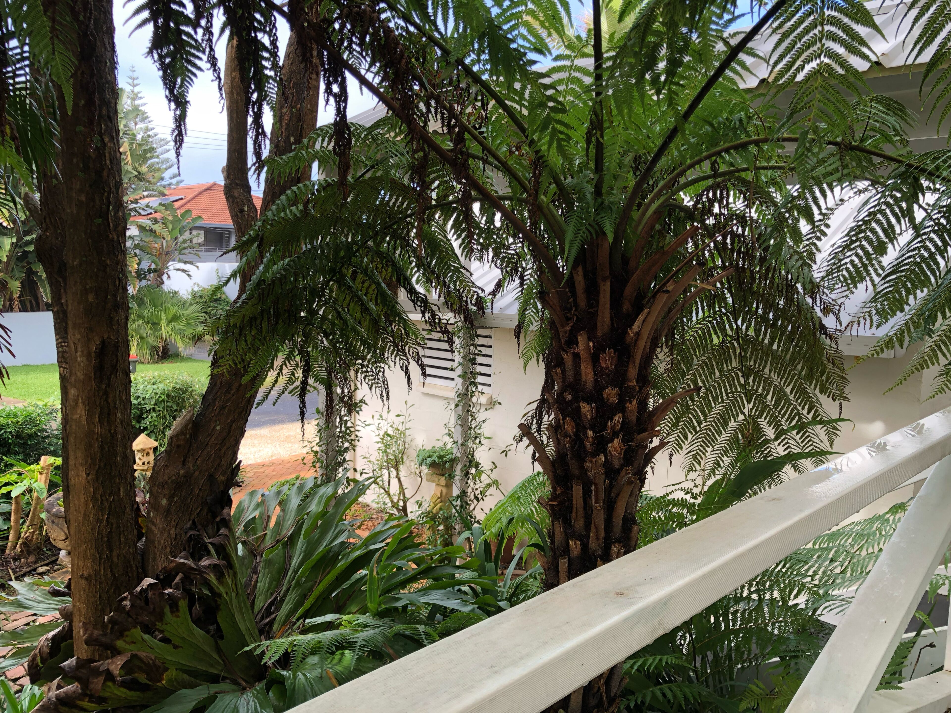 Shorebreak Beach House