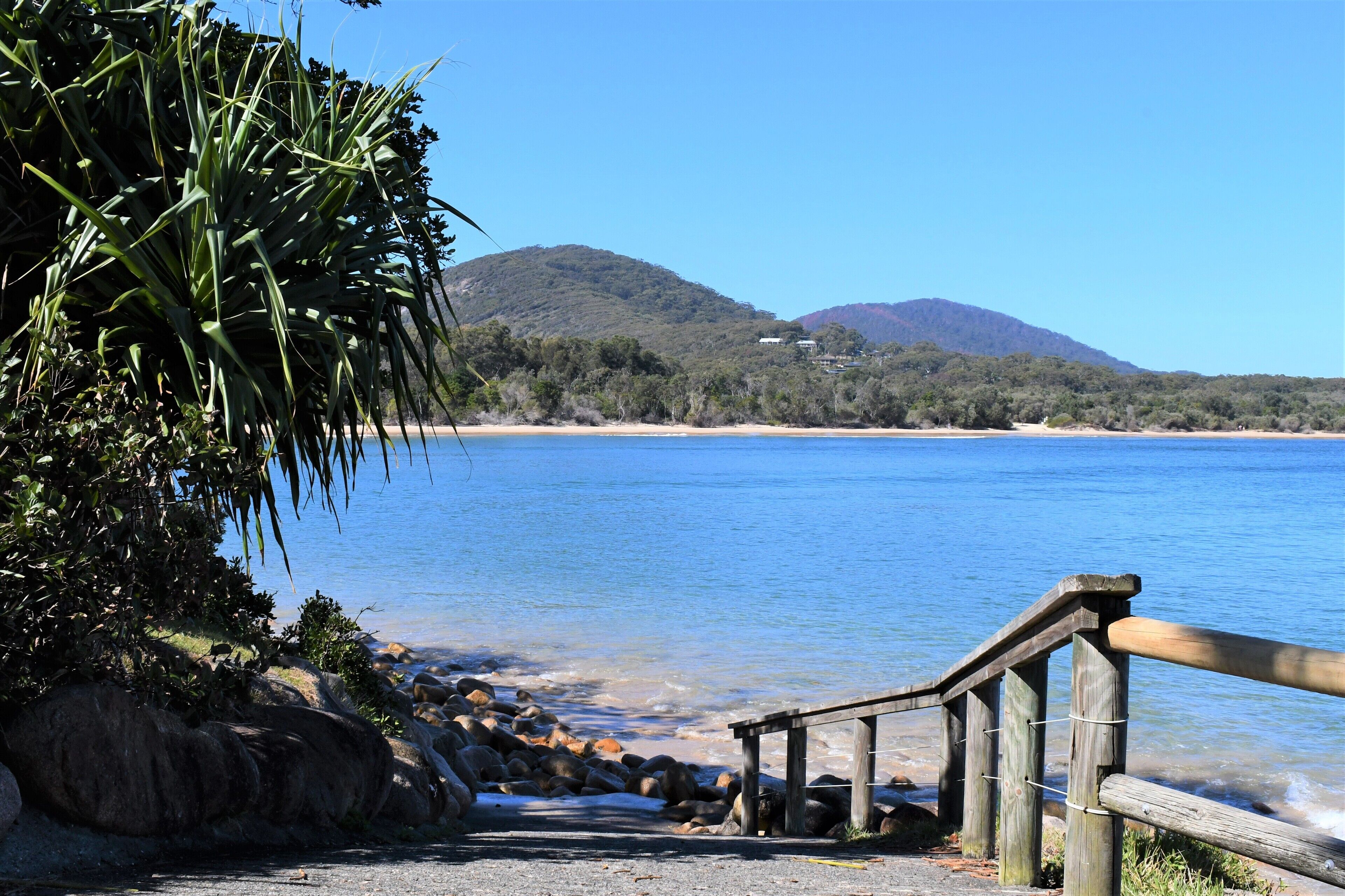 Salt at South West Rocks