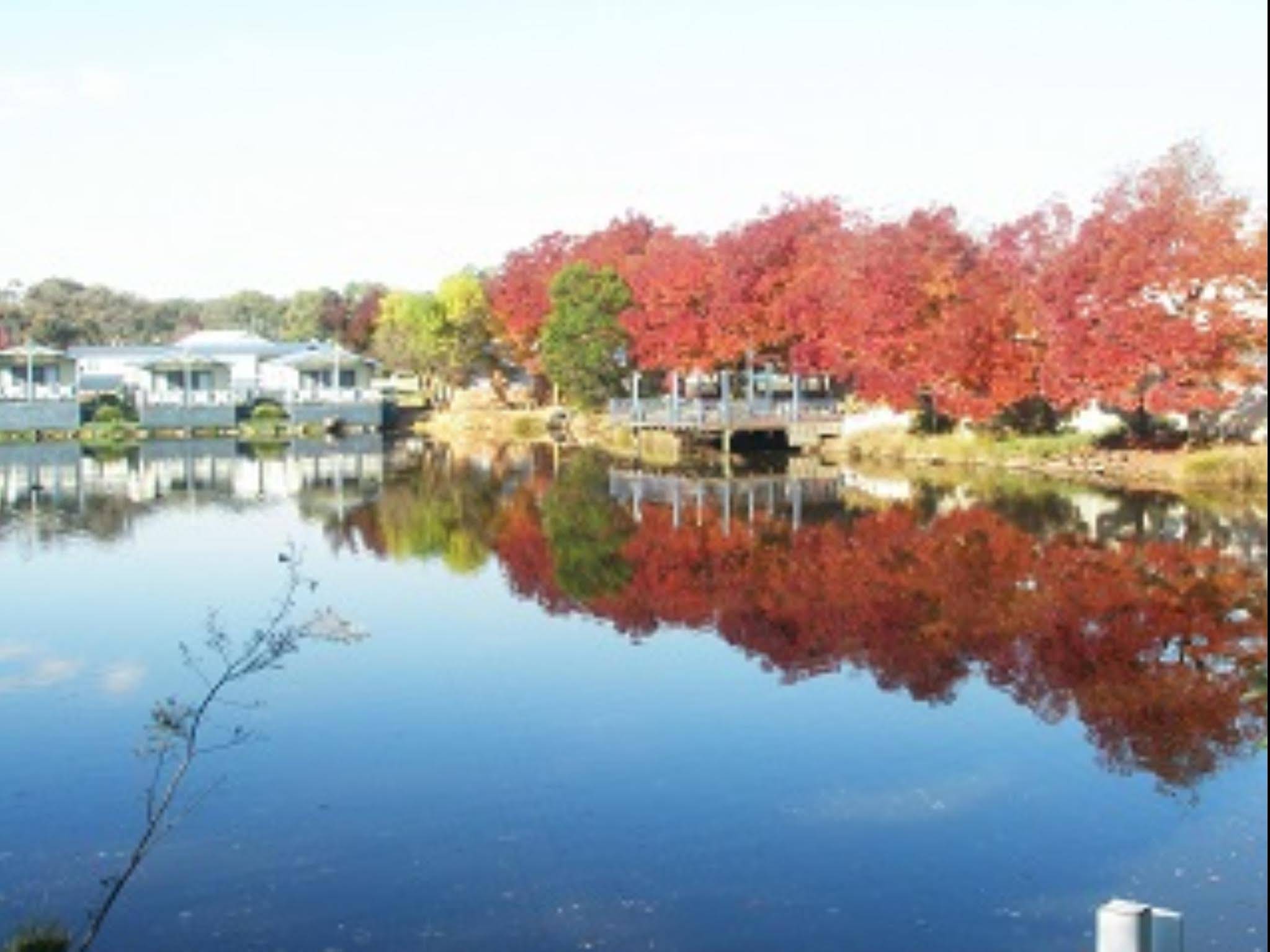 Capital Country Holiday Park