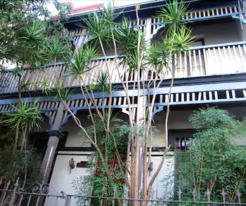 Summer House Backpackers Newtown