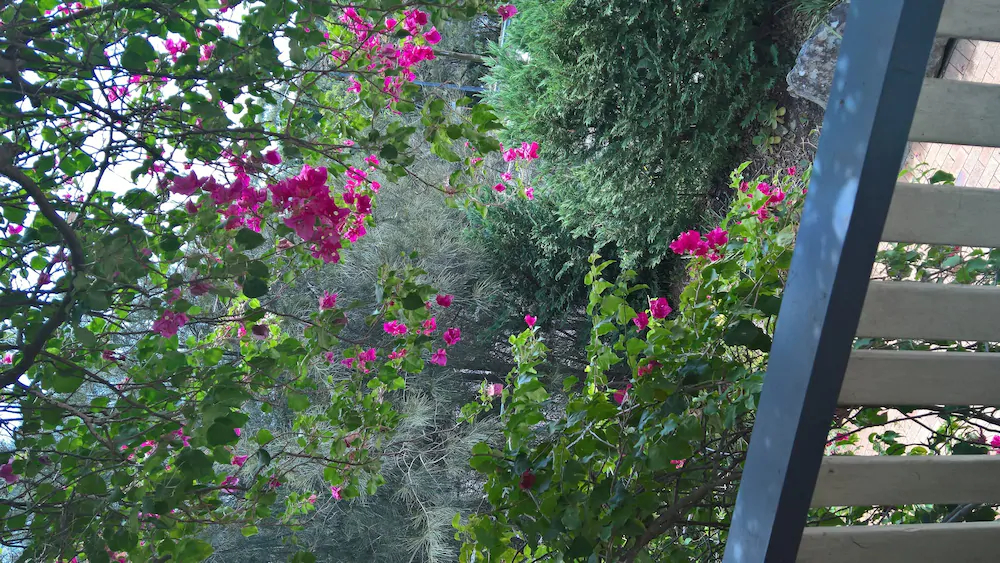 Linley House Bed & Breakfast