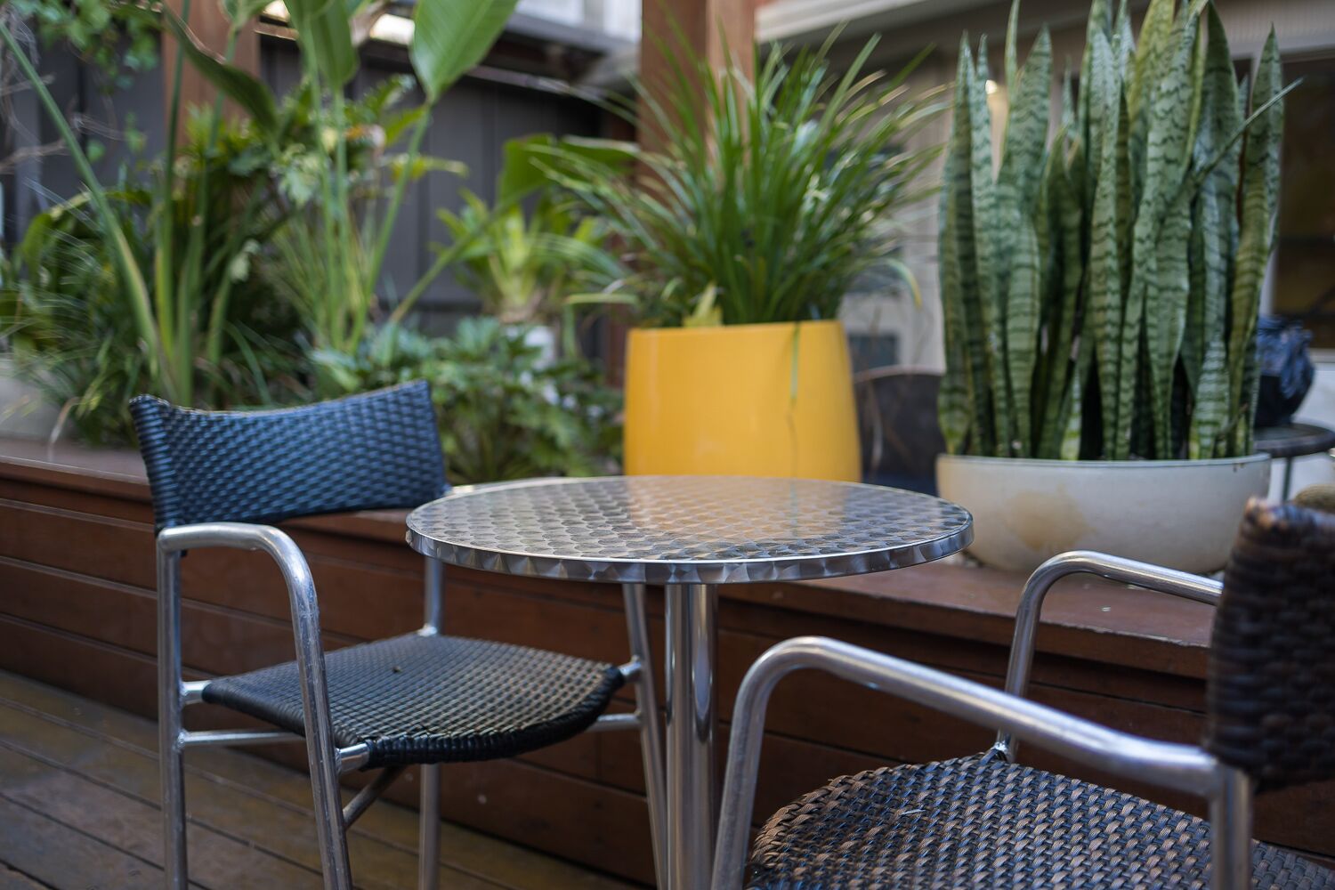 London Plane Backpackers Hostel