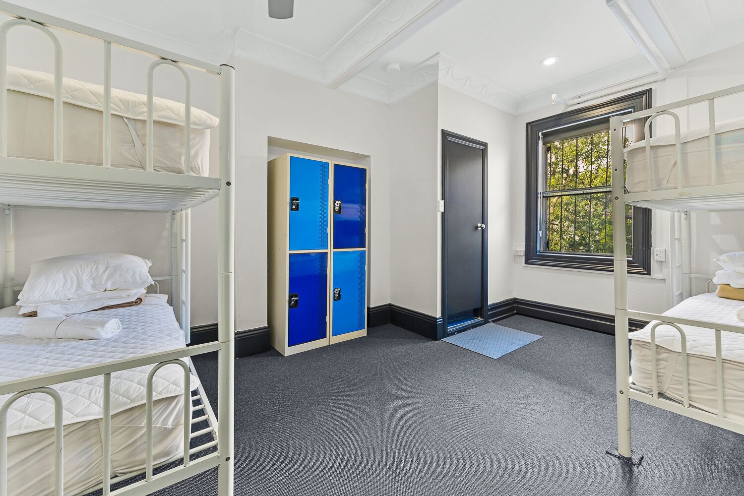 London Plane Backpackers Hostel