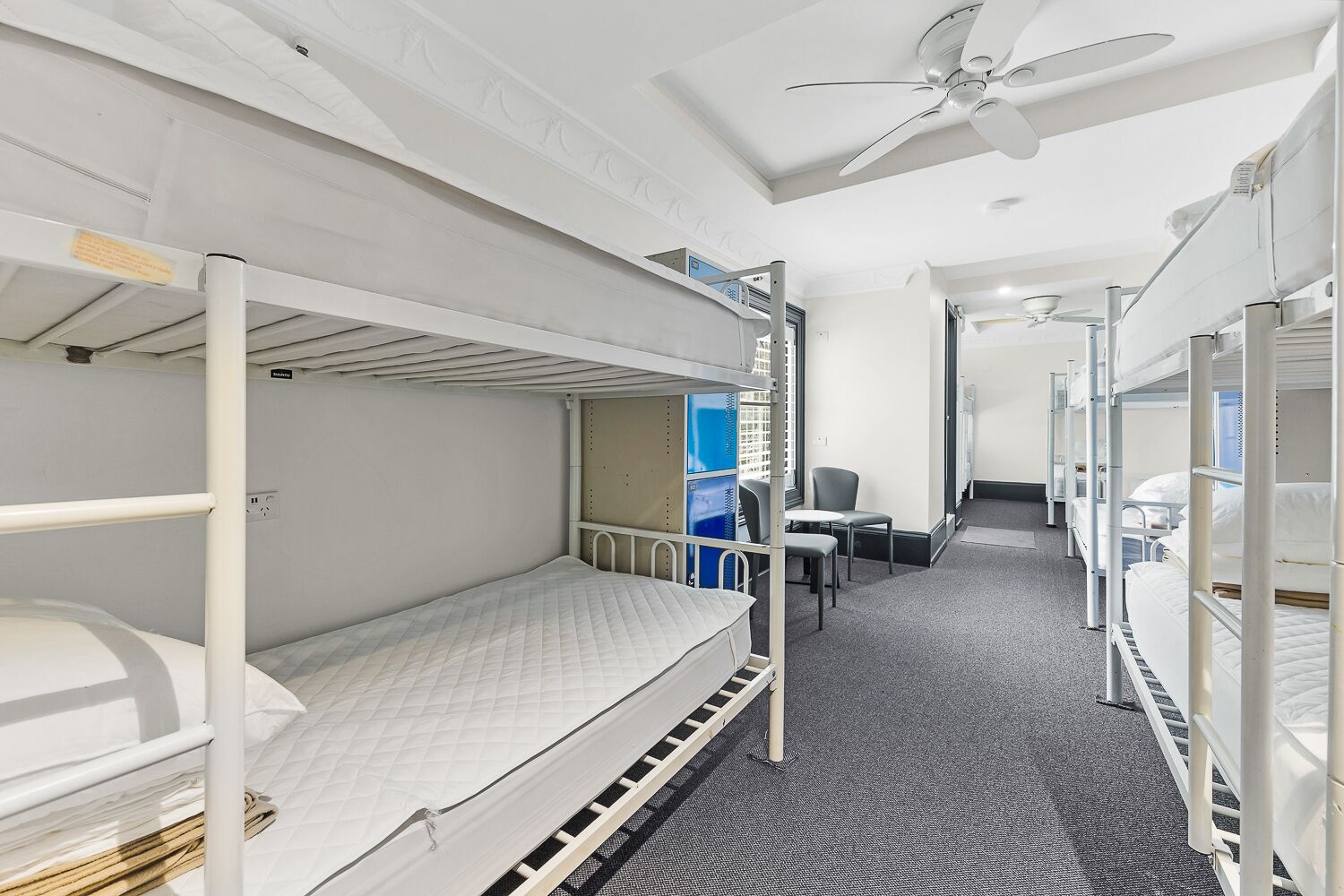 London Plane Backpackers Hostel