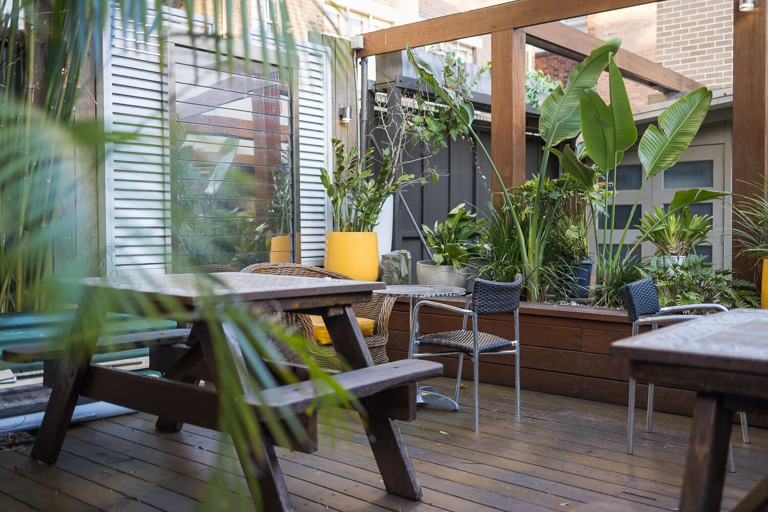 London Plane Backpackers Hostel