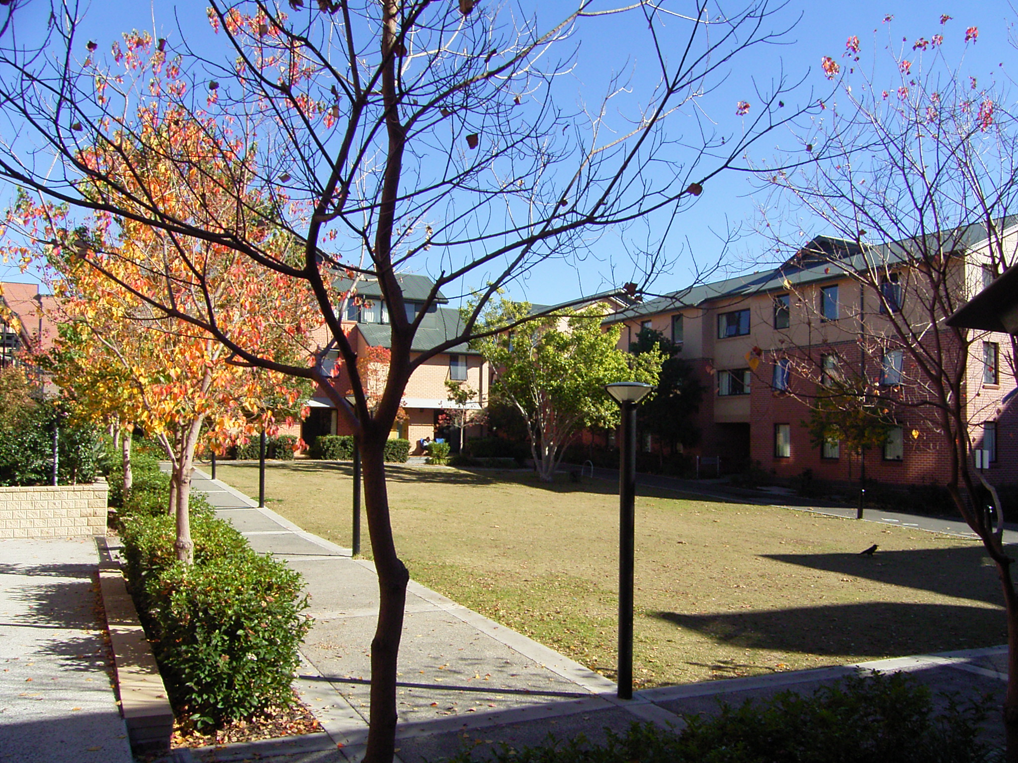 Sydney University Village