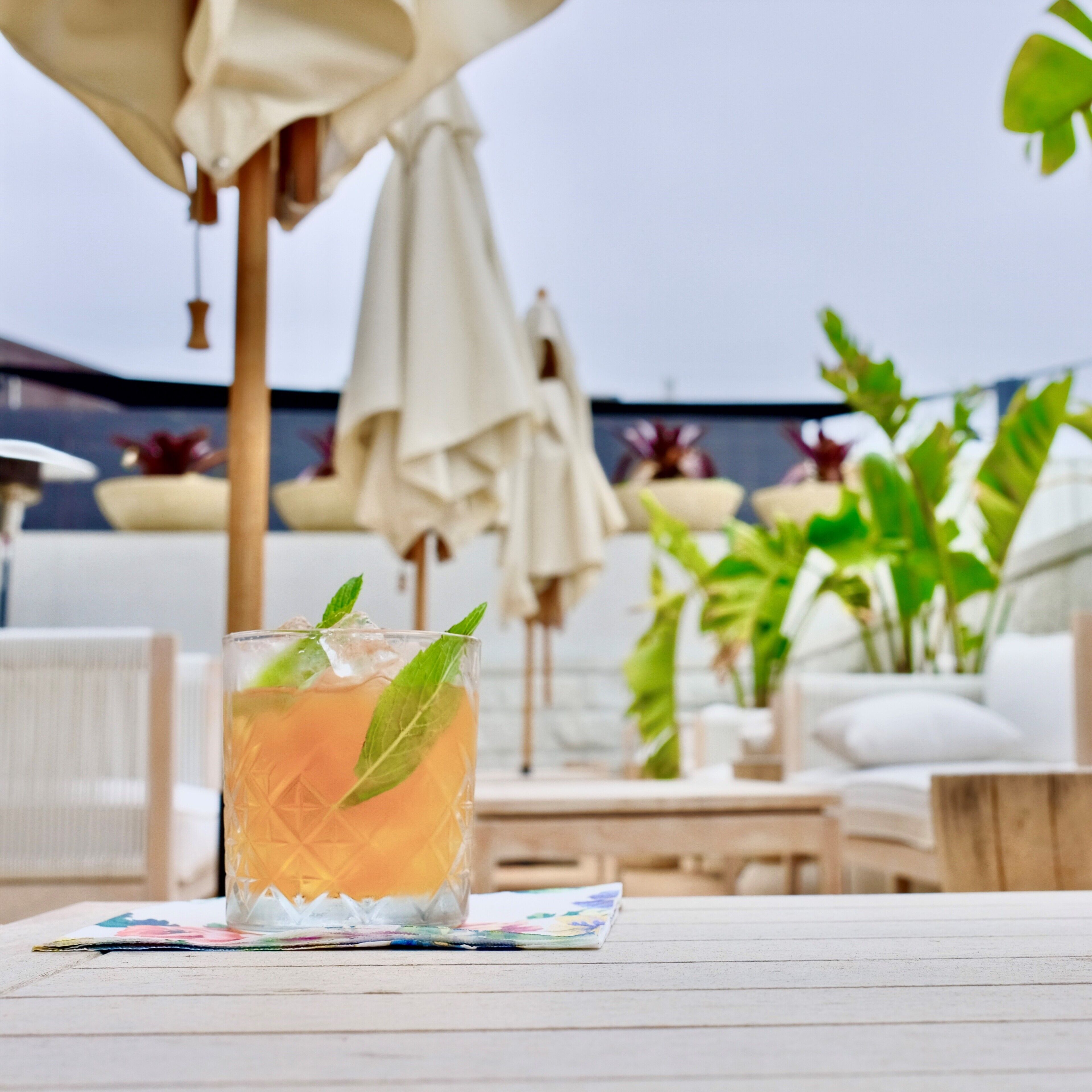 The Albert Hotel Mosman