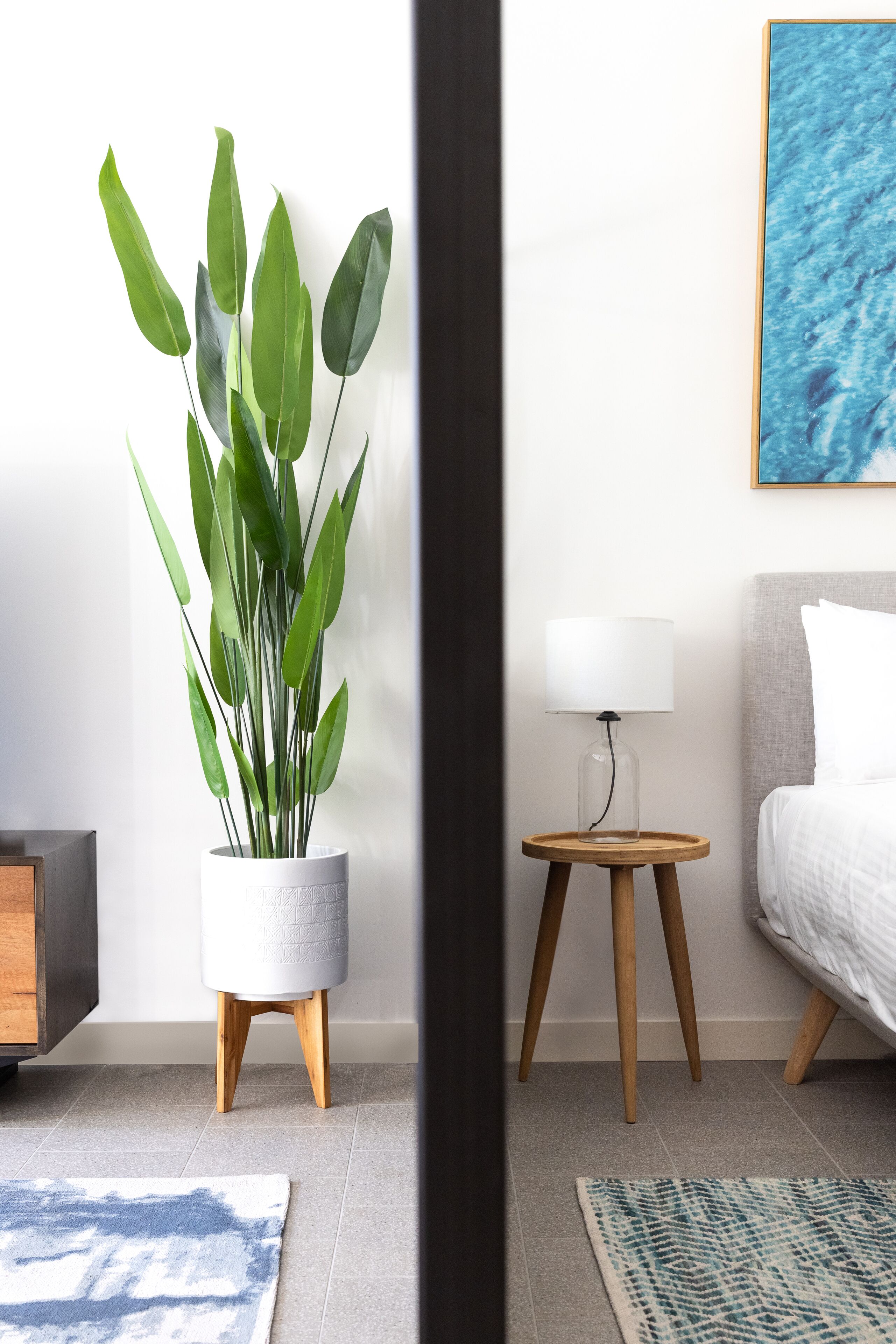 The Surry Apartments by Urban Rest