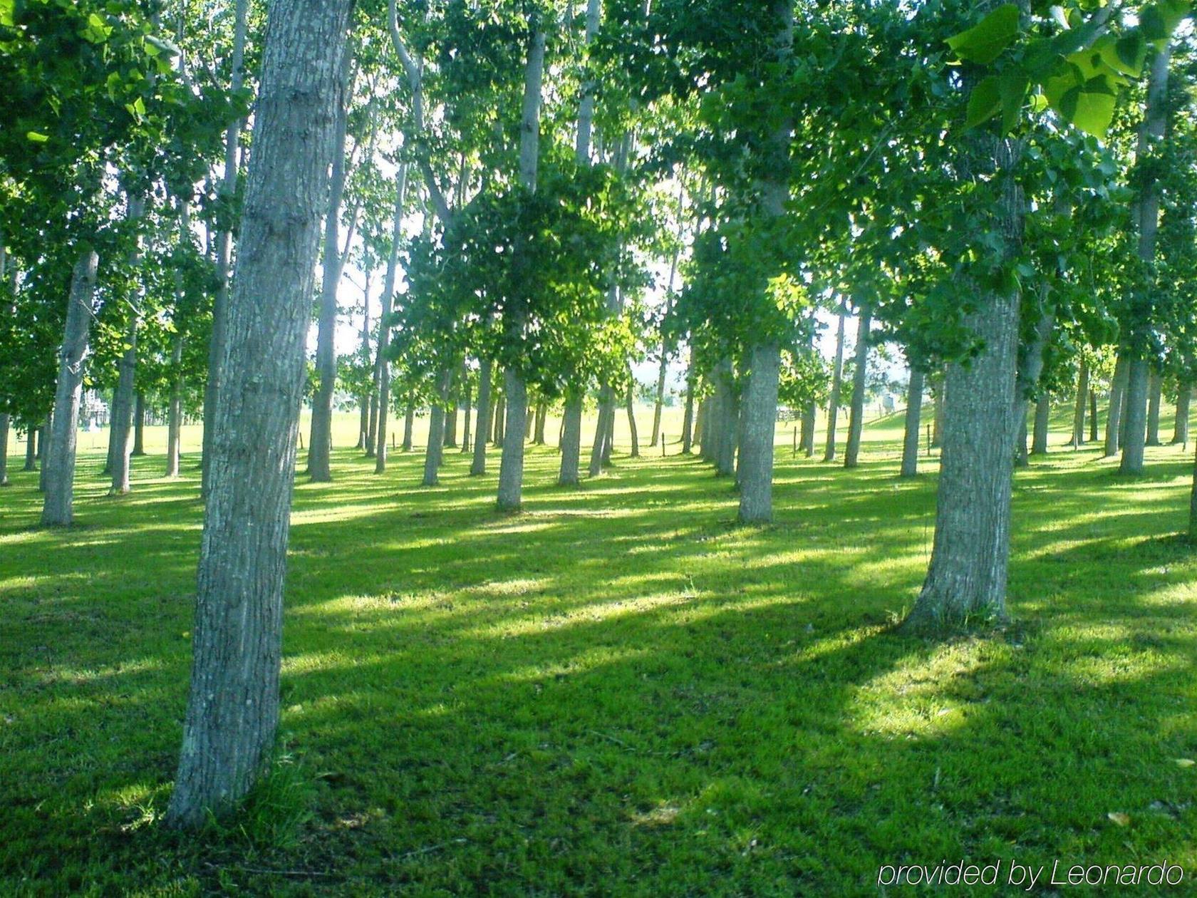 All Seasons Country Lodge