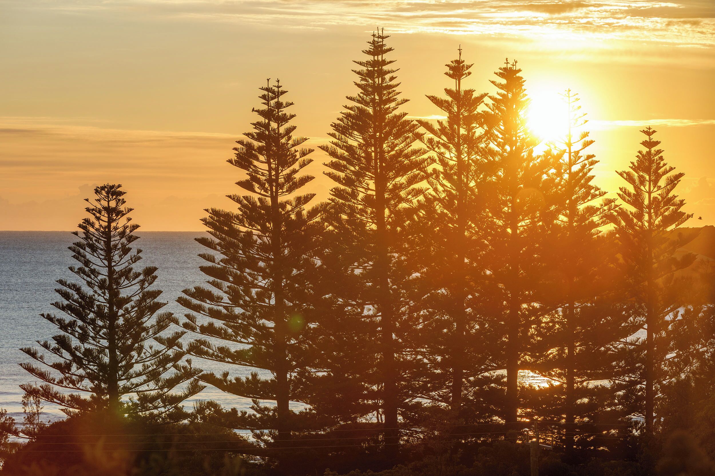 Tathra Beach House Apartments
