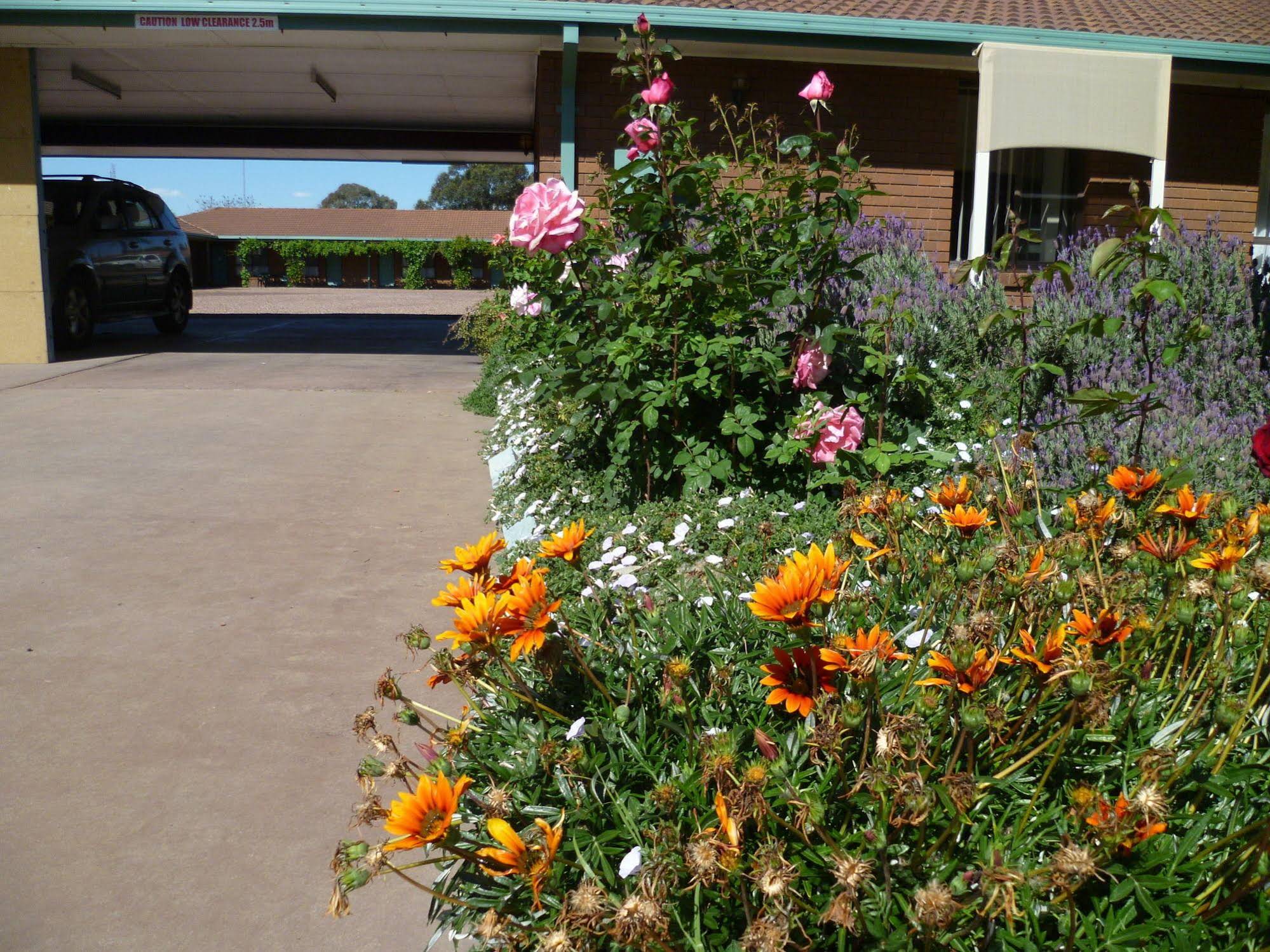 Birch Motel Tocumwal