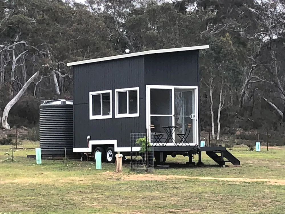 The Saddle Camp