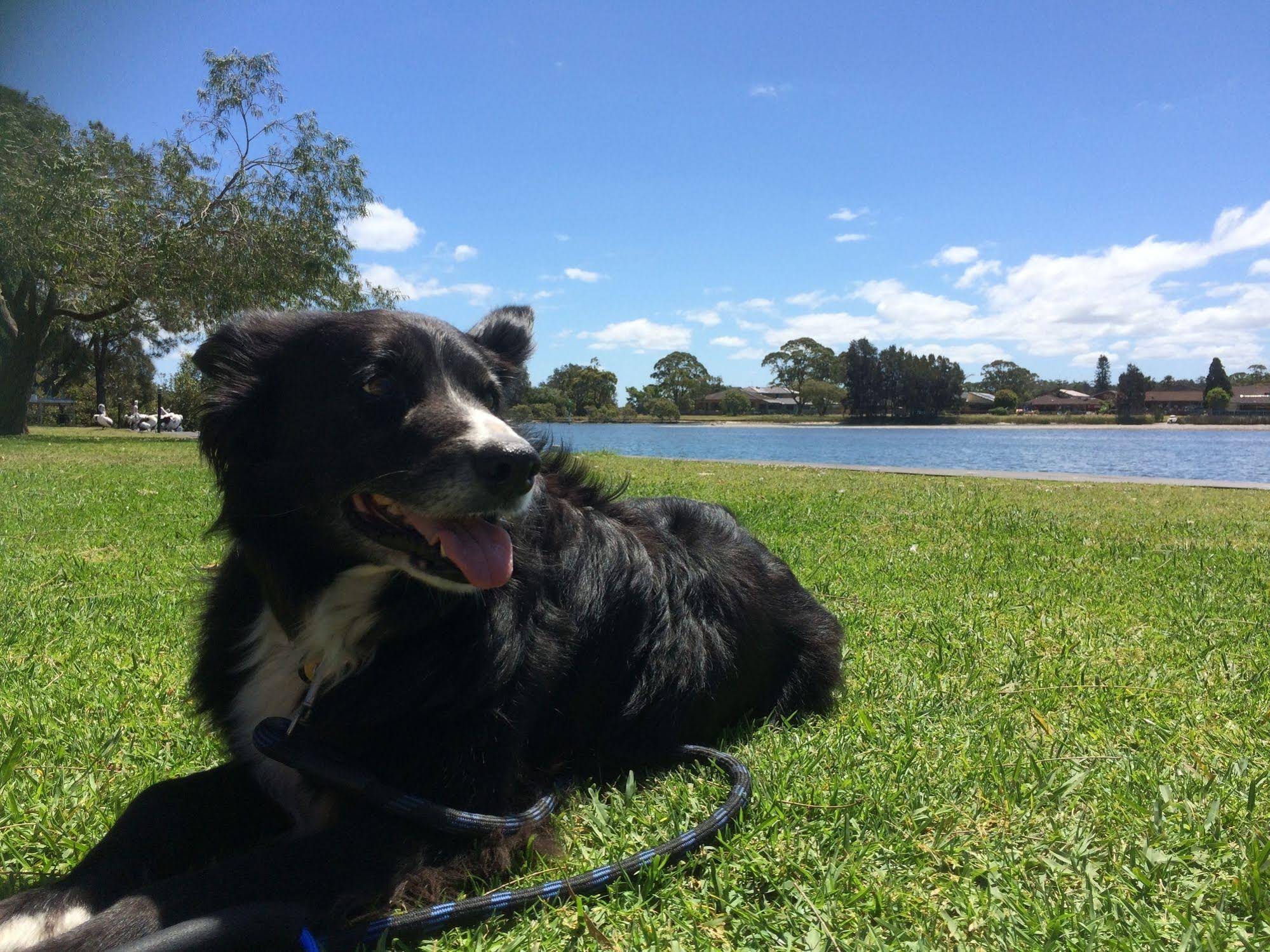 BIG4 Forster Tuncurry Great Lakes Holiday Park