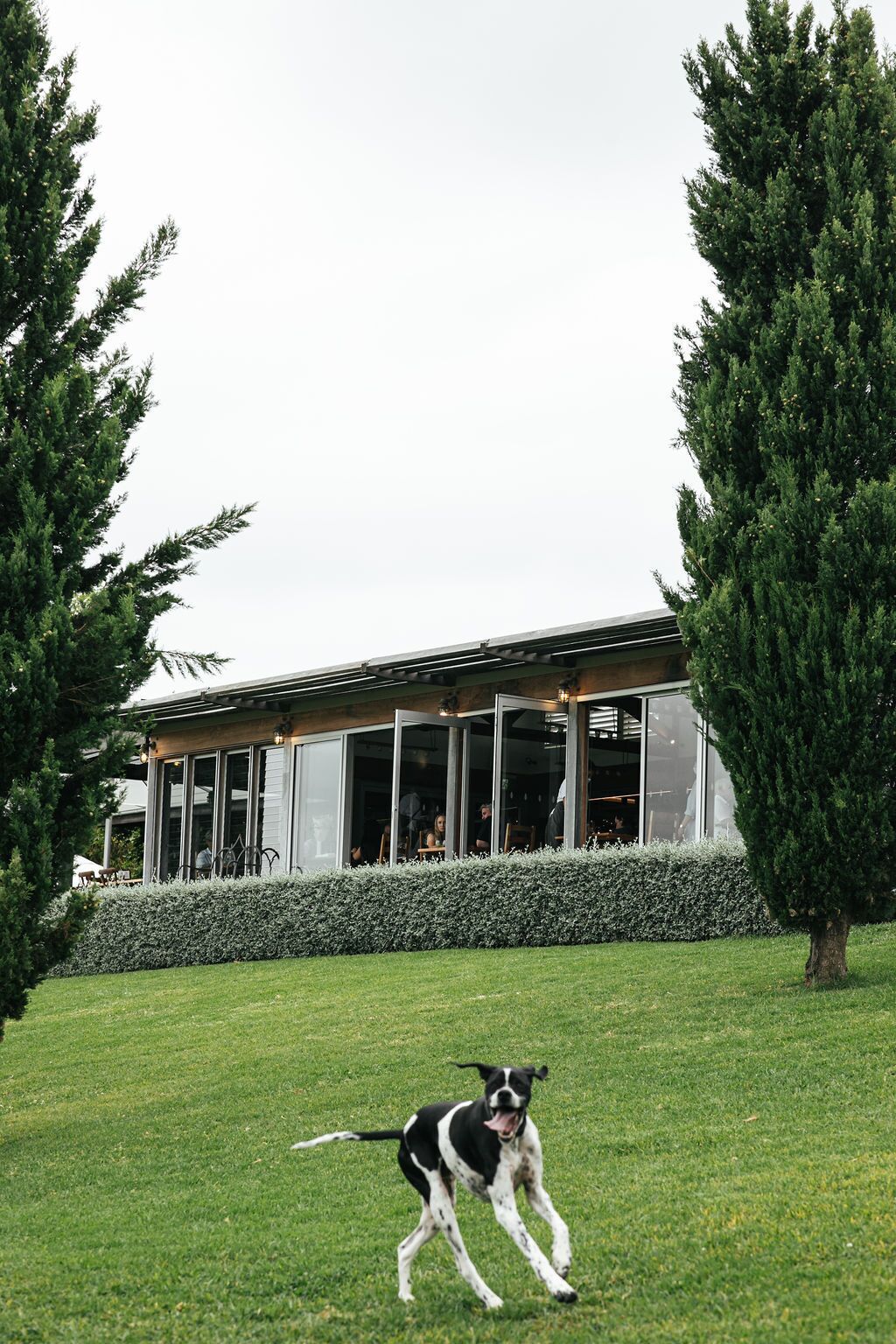 Cupitt's Estate
