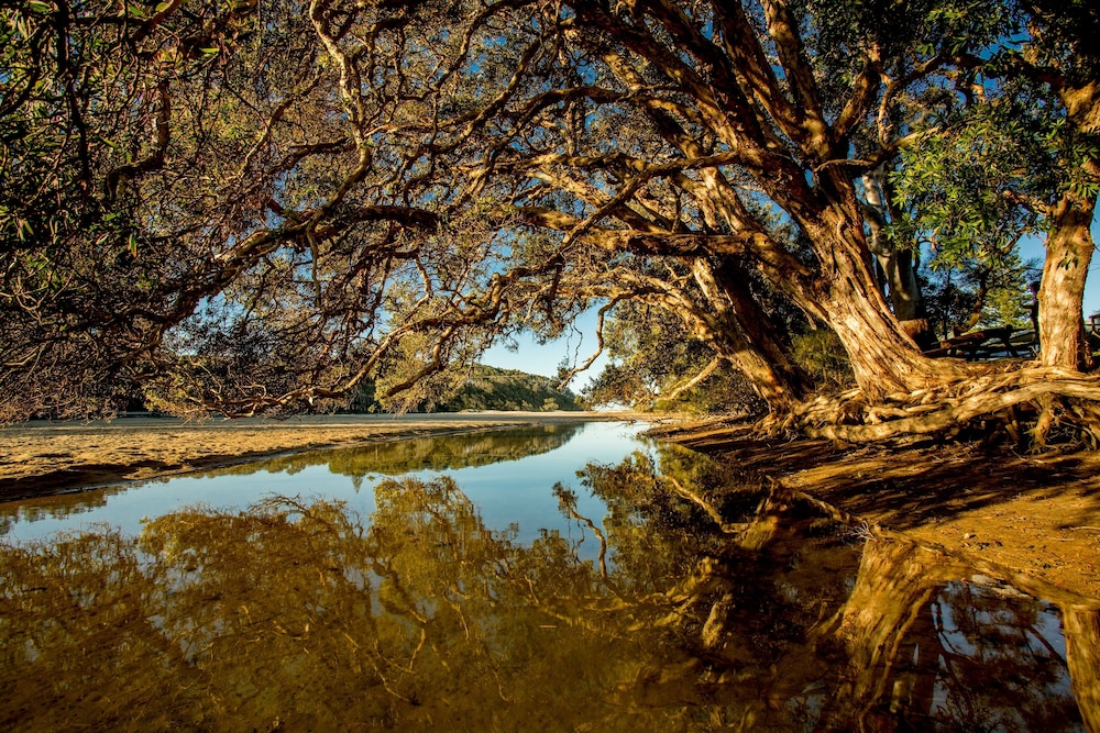 Woolgoolga Lakeside Holiday Park