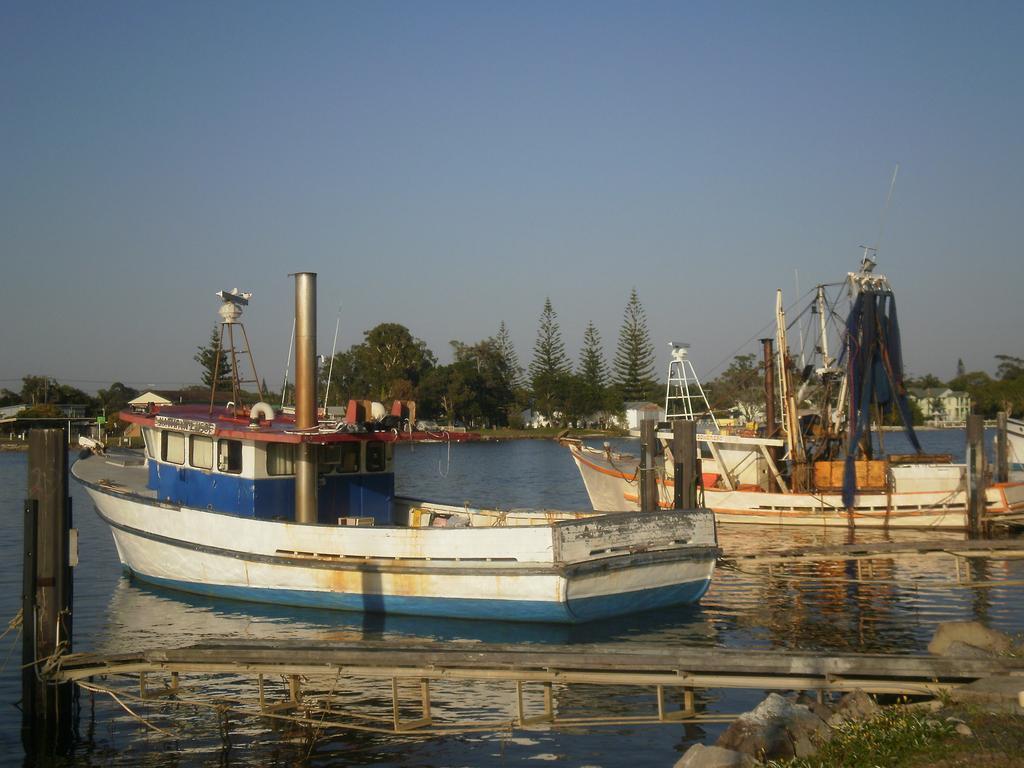 The Carmel Yamba