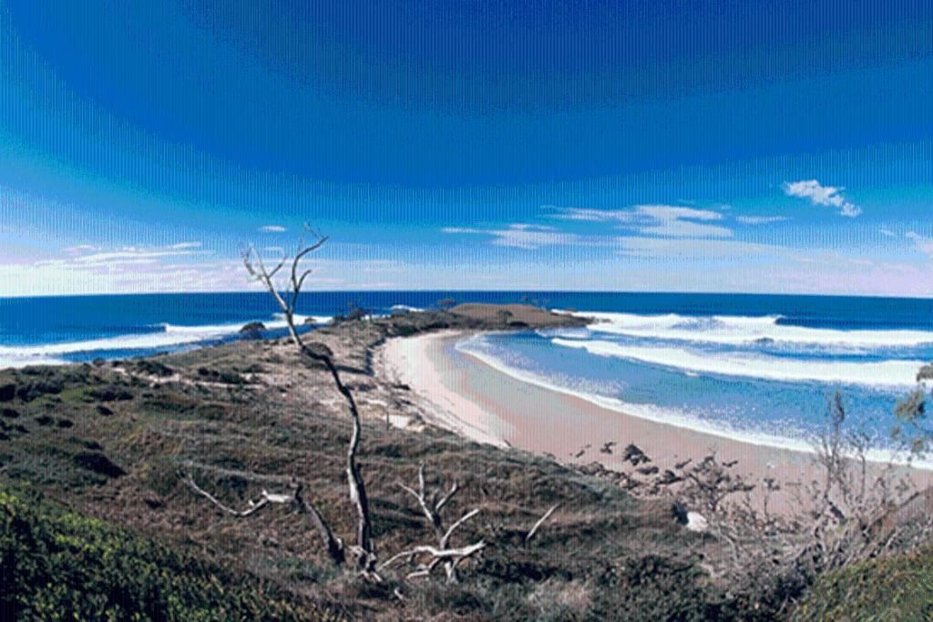 Yamba Central