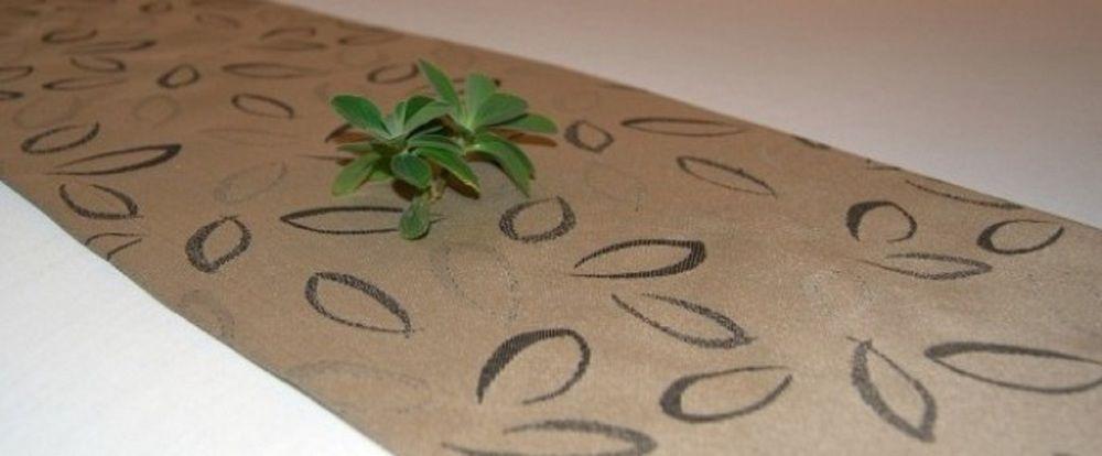 Stay at Alice Springs Hotel