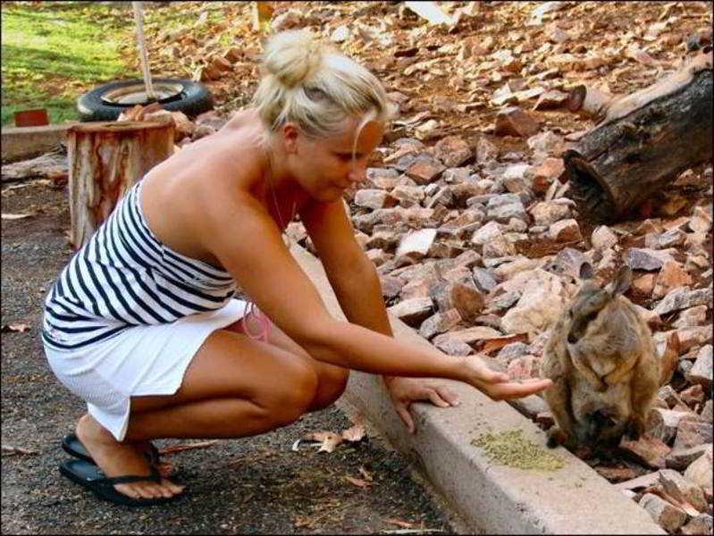 Heavitree Gap Outback Lodge