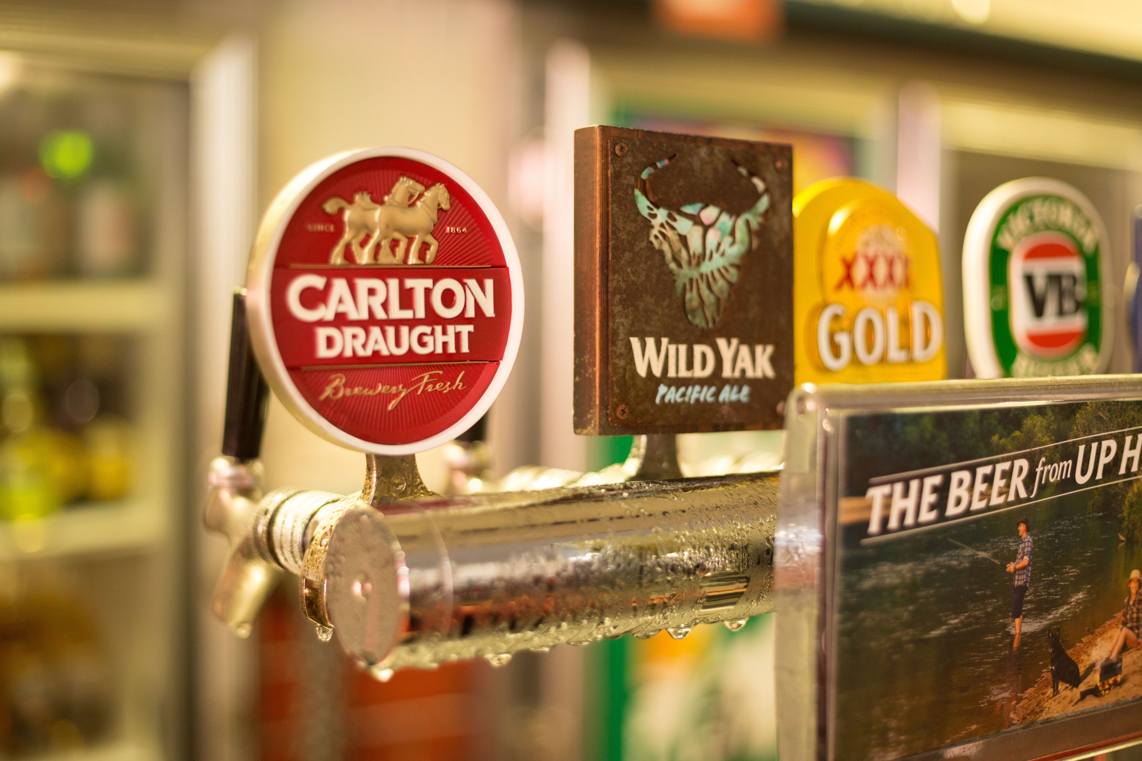 Quality Frontier Darwin